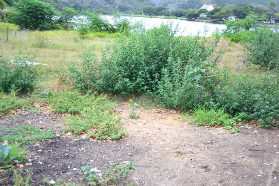 0 Bedroom Property for Sale in Island Cove Western Cape